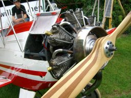 Flugtage