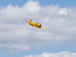 Flugtage - 2026